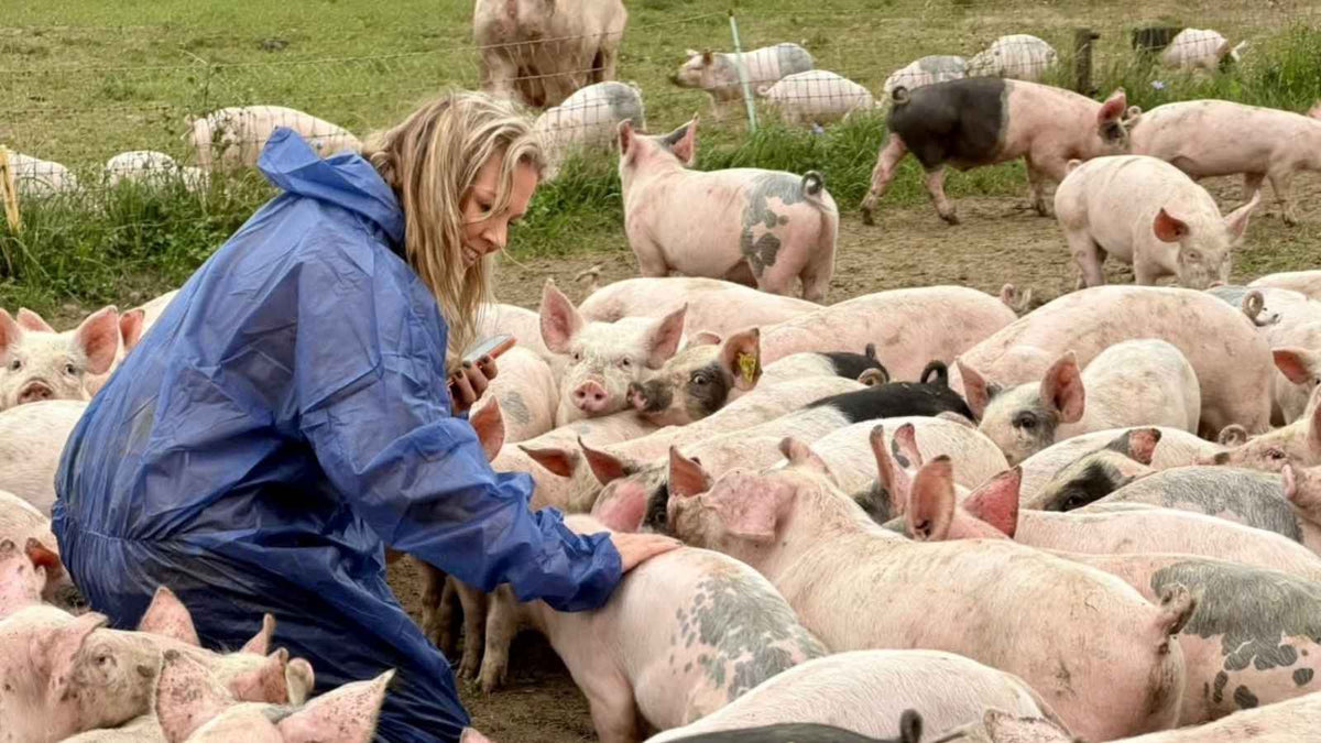 Ägarna Rickard och Gunilla tillsammans med en medarbetare på Klambylids KRAV-märkta grisgård i Skåne.