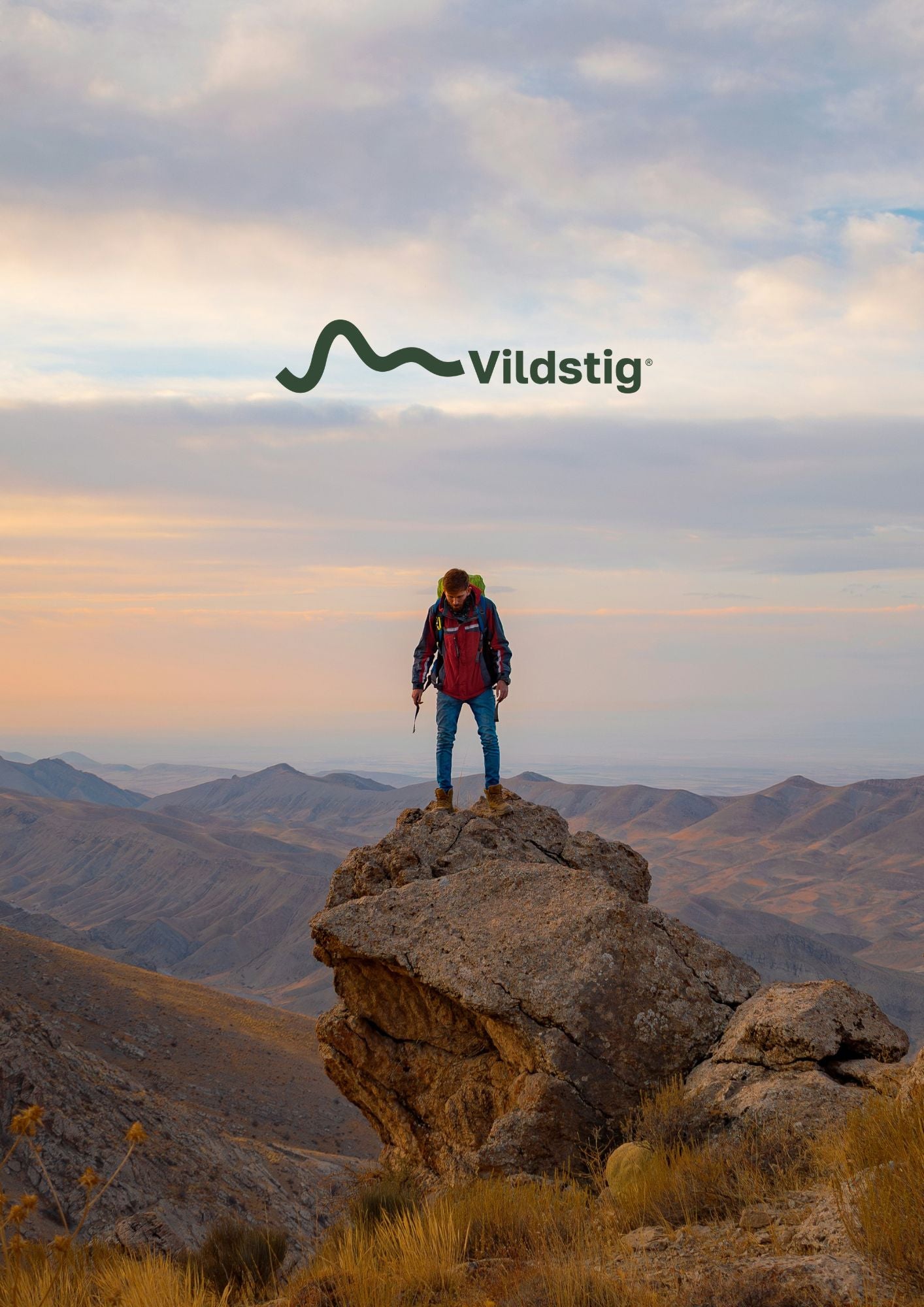 En person med vandringsryggsäck och röd jacka står på toppen av en klippformation och blickar ut över ett vidsträckt, kuperat bergslandskap under en molnig himmel i skymningsljus. Över bilden syns logotypen för "Vildstig", bestående av en slingrande grön linje som liknar en stig eller en bergskam följt av texten "Vildstig".